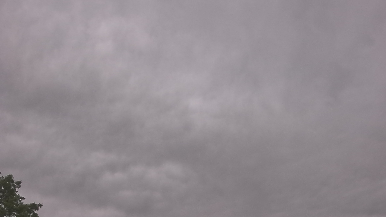 Thumbnail for current weather camera view from The Lamplighter School in Dallas, Texas