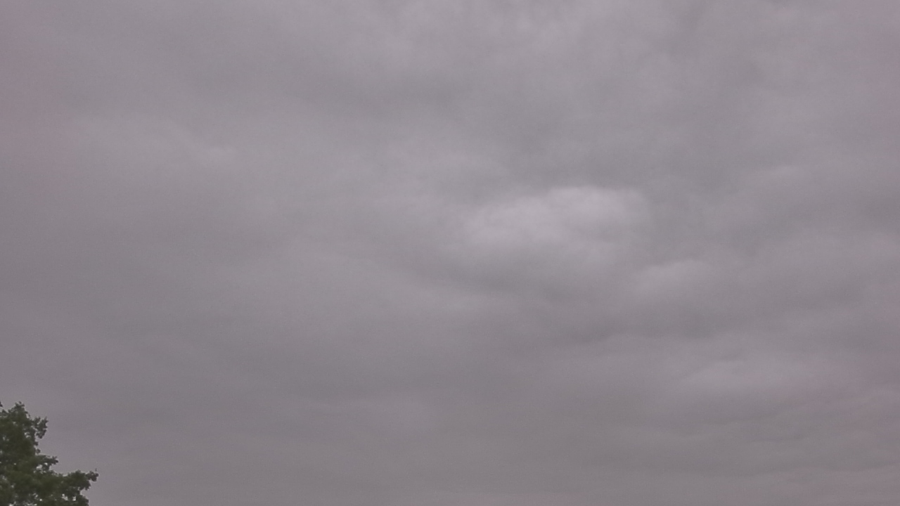 Thumbnail for current weather camera view from The Lamplighter School in Dallas, Texas