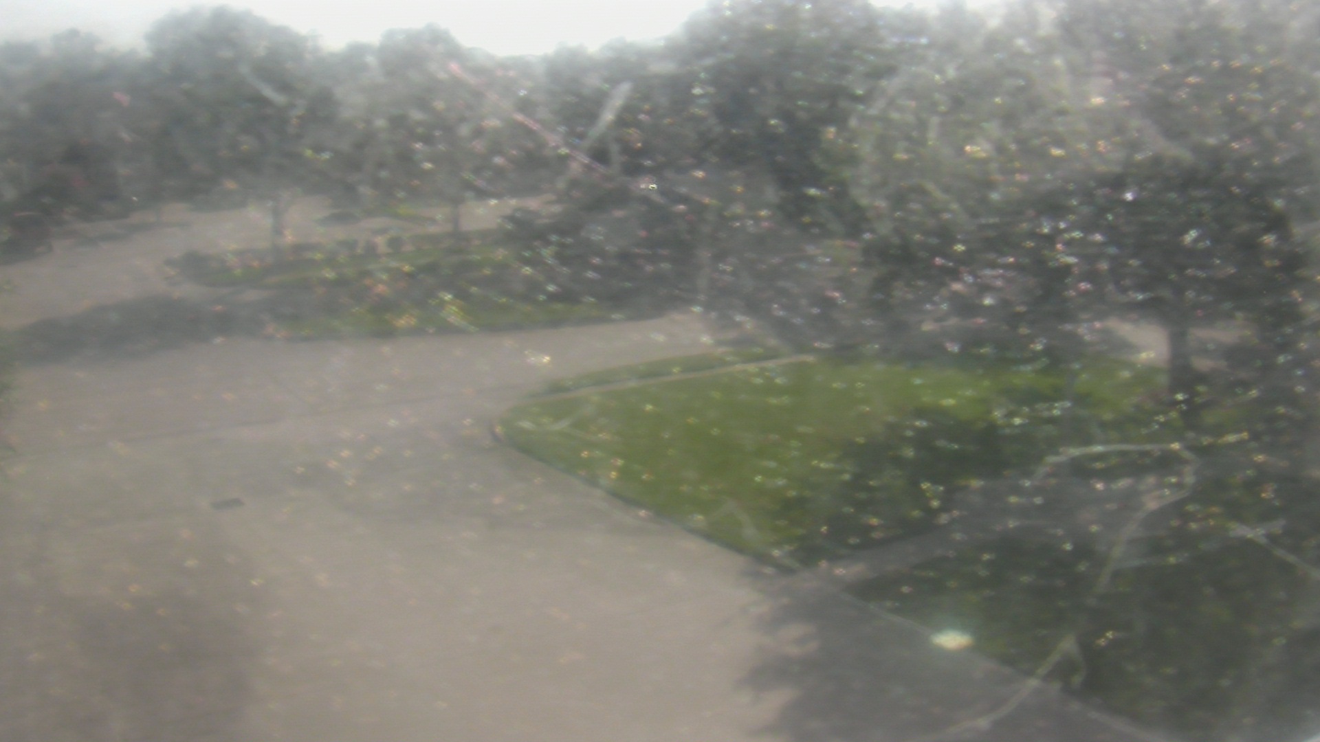 Thumbnail for current weather camera view from City of League City Fire Station 4 in League City, Texas