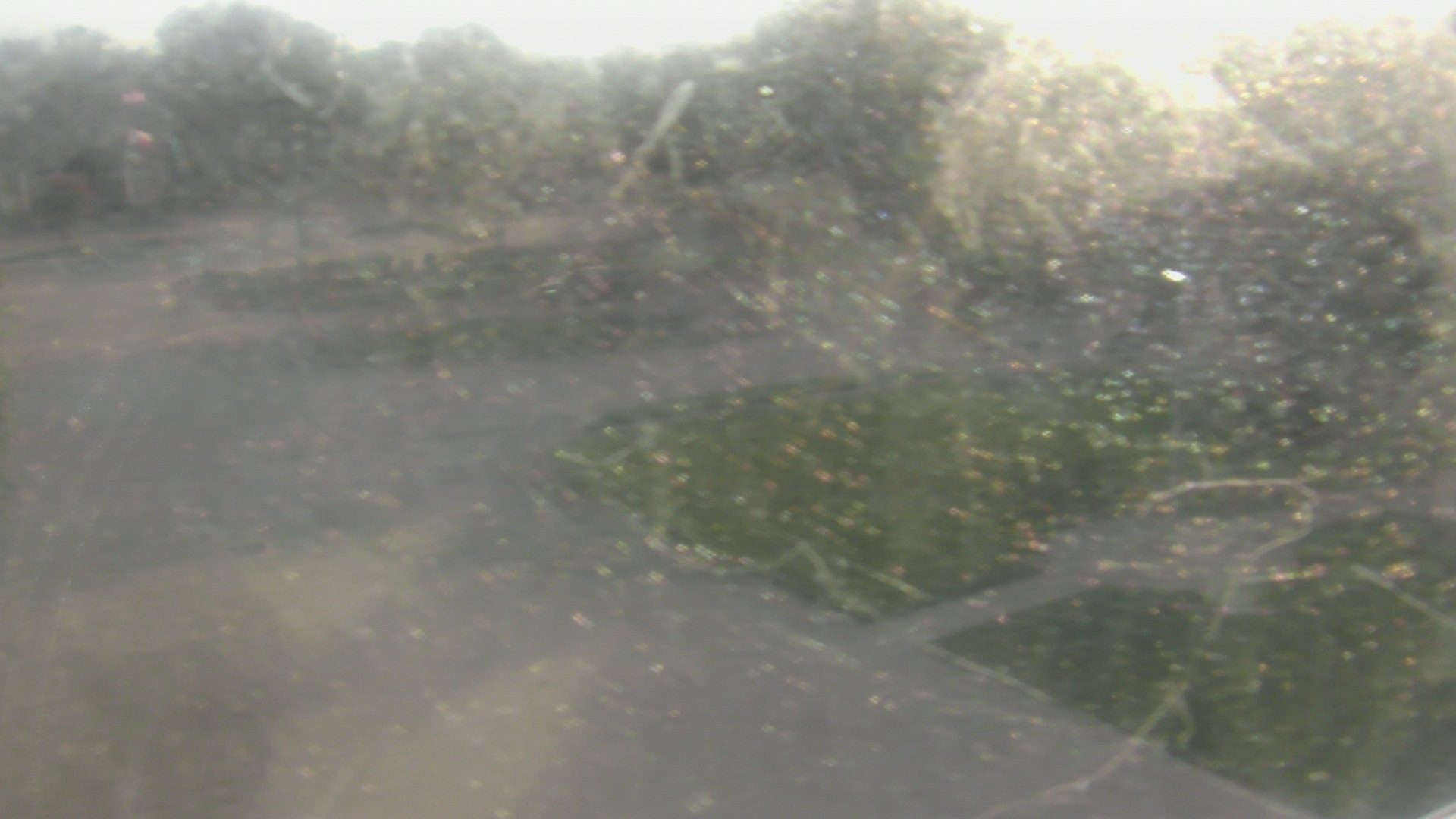 Thumbnail for current weather camera view from City of League City Fire Station 4 in League City, Texas