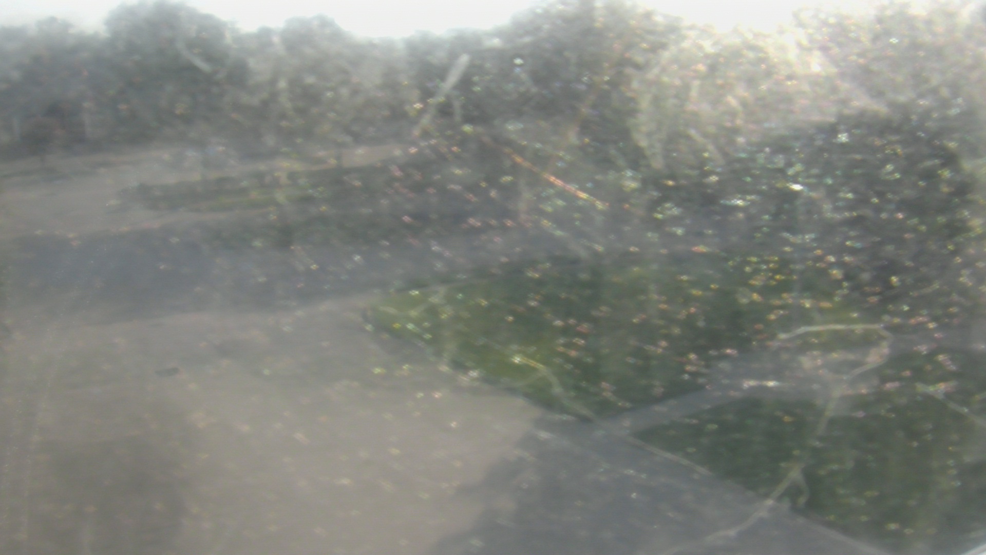 Thumbnail for current weather camera view from City of League City Fire Station 4 in League City, Texas
