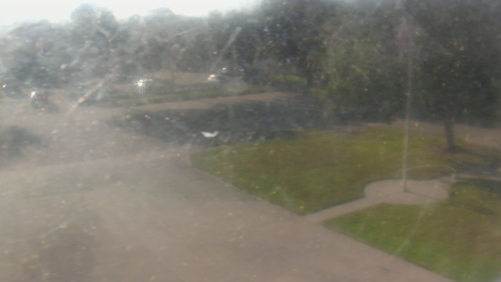 Thumbnail for current weather camera view from City of League City Fire Station 4 in League City, Texas