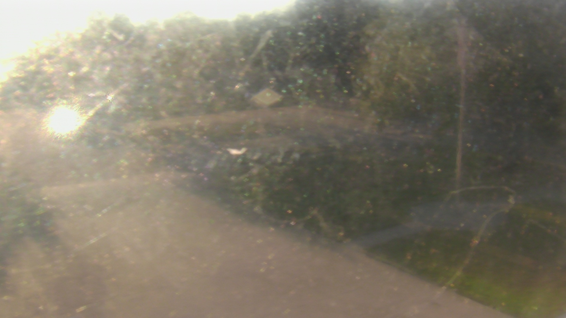 Thumbnail for current weather camera view from City of League City Fire Station 4 in League City, Texas