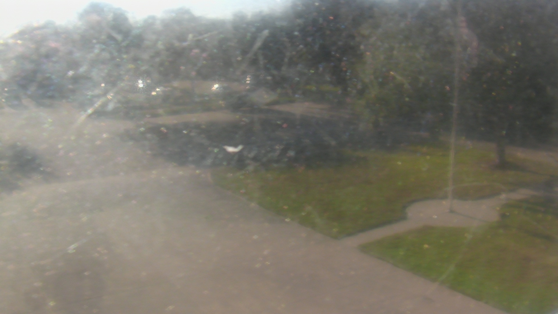 Thumbnail for current weather camera view from City of League City Fire Station 4 in League City, Texas