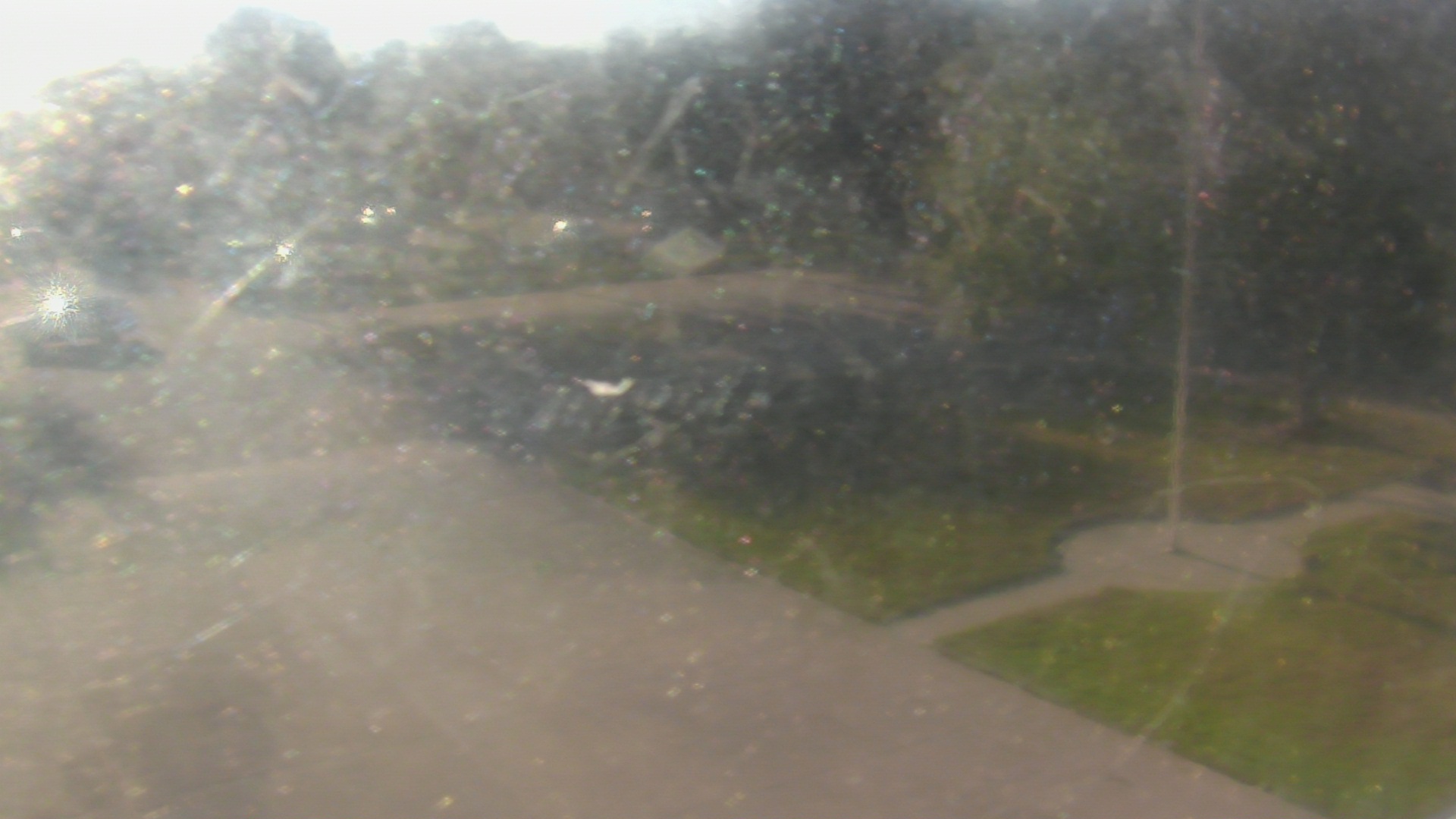 Thumbnail for current weather camera view from City of League City Fire Station 4 in League City, Texas