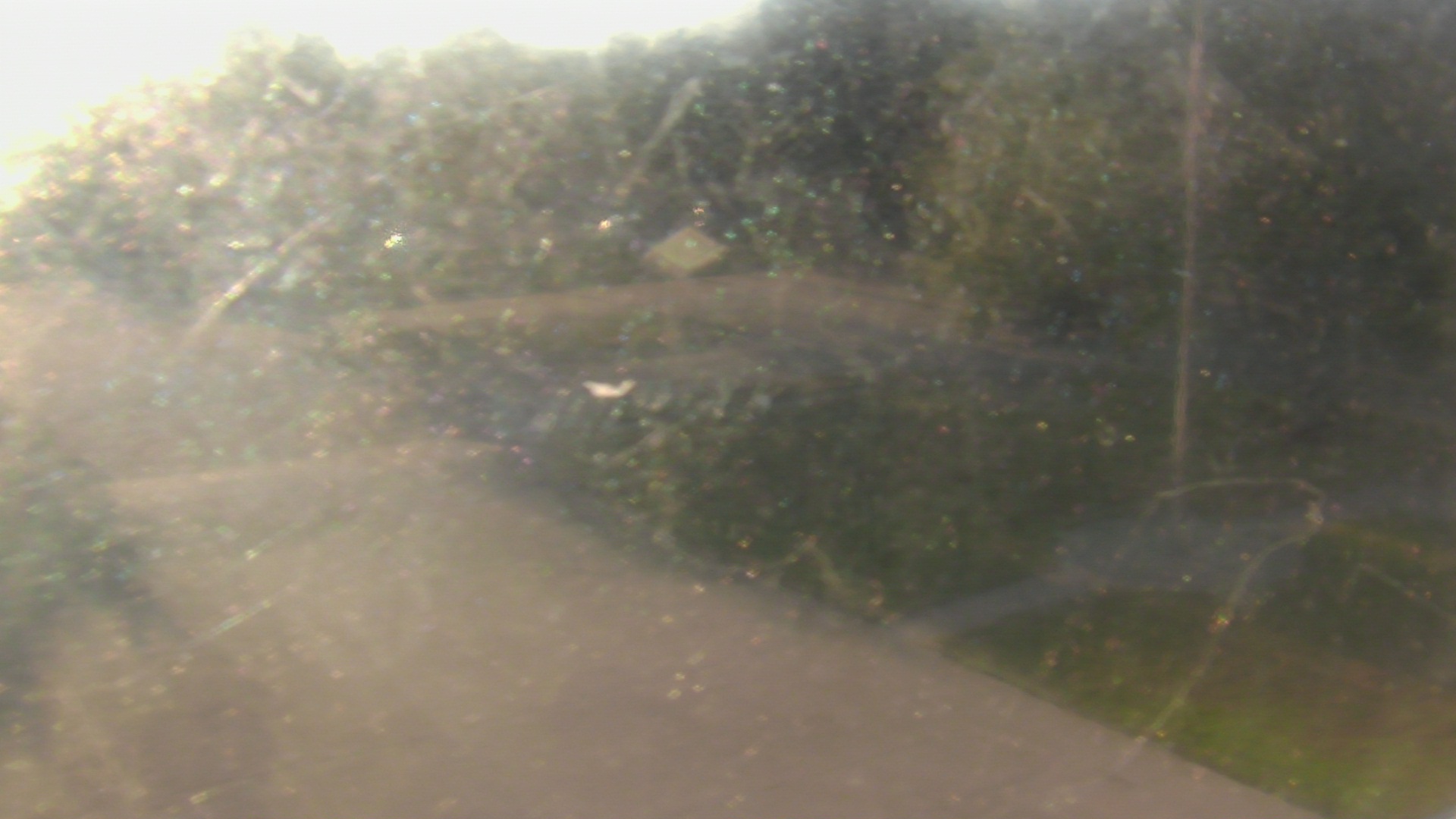 Thumbnail for current weather camera view from City of League City Fire Station 4 in League City, Texas