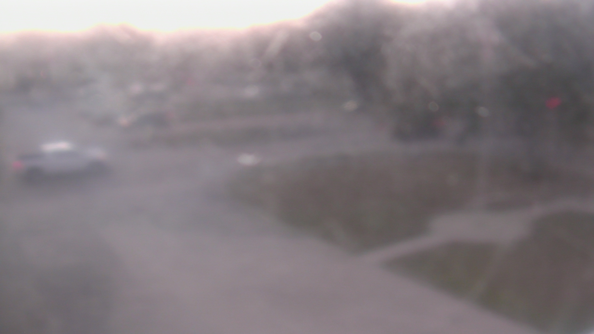 Thumbnail for current weather camera view from City of League City Fire Station 4 in League City, Texas