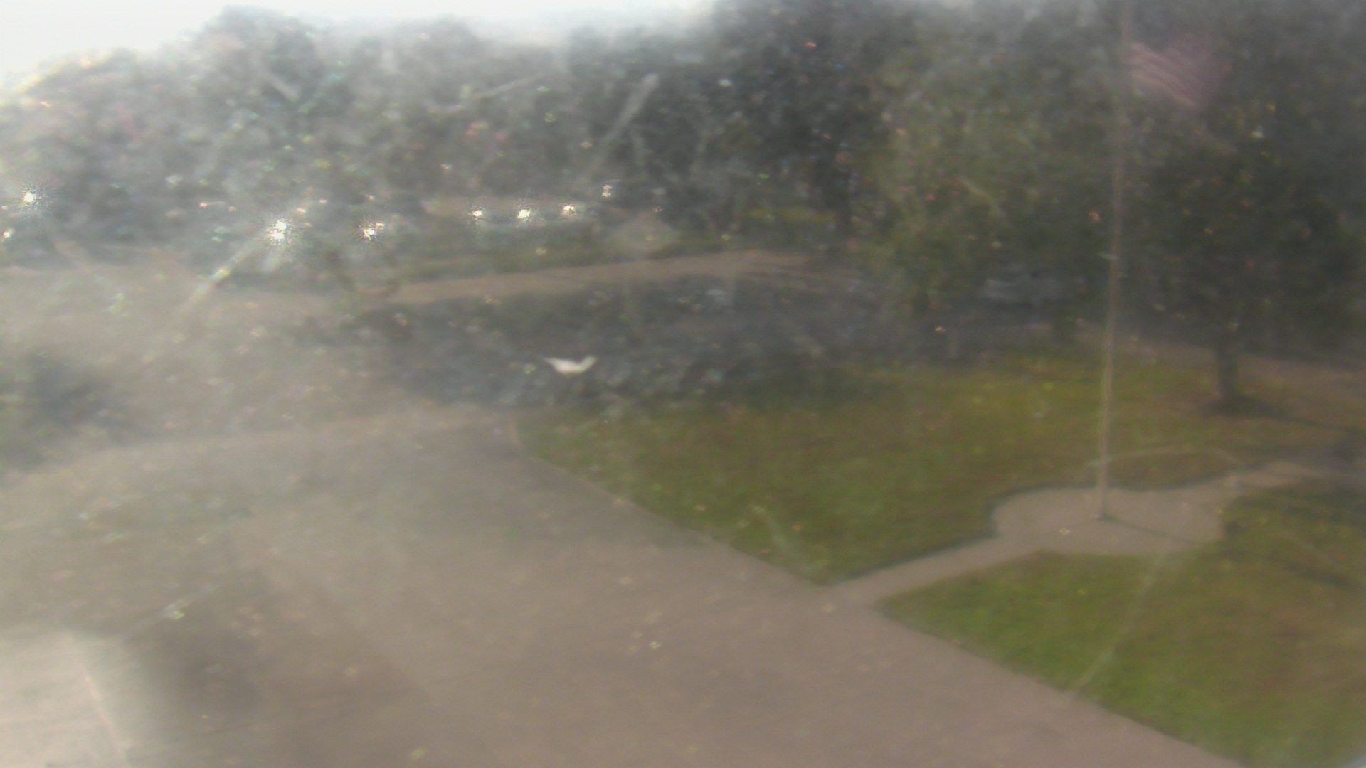 Thumbnail for current weather camera view from City of League City Fire Station 4 in League City, Texas