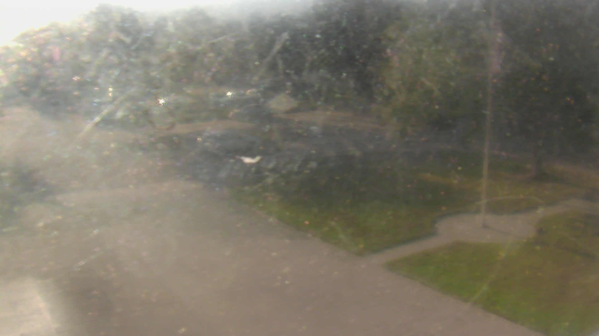 Thumbnail for current weather camera view from City of League City Fire Station 4 in League City, Texas