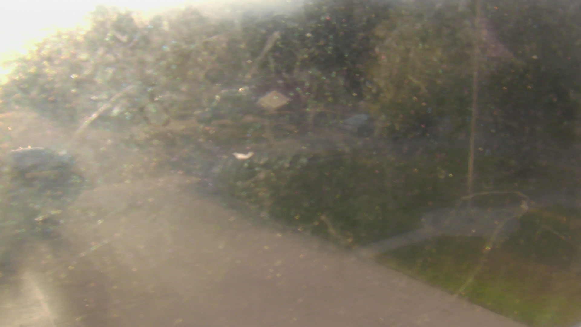 Thumbnail for current weather camera view from City of League City Fire Station 4 in League City, Texas