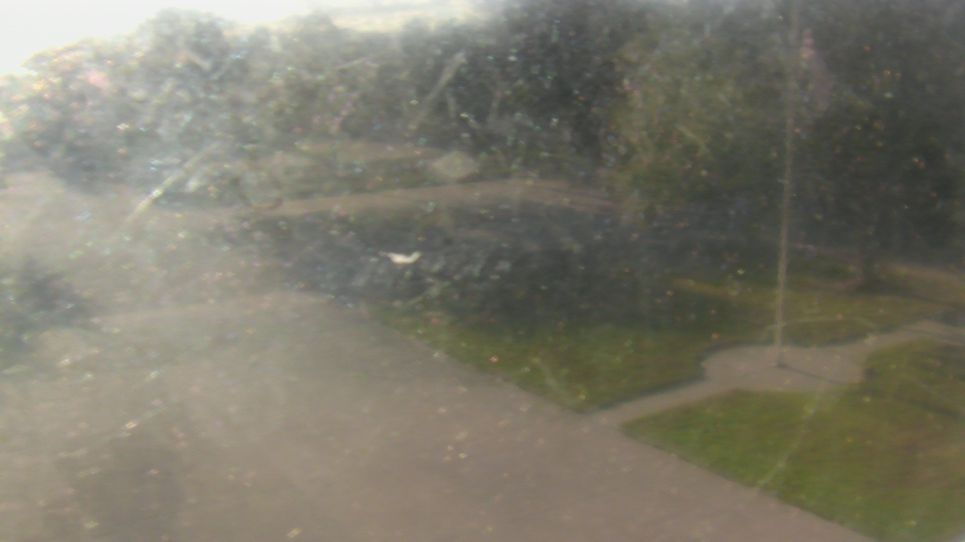 Thumbnail for current weather camera view from City of League City Fire Station 4 in League City, Texas