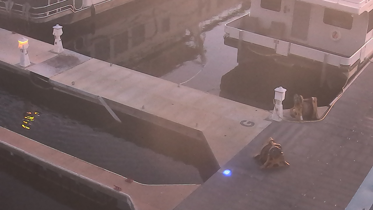 Thumbnail for current weather camera view from Lake Powell Resorts and Marinas - Wahweap Marina in Page, Arizona