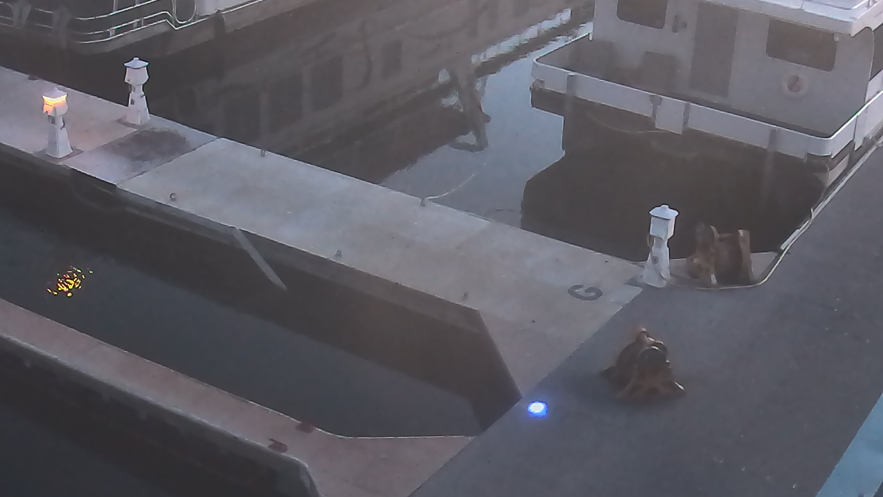 Thumbnail for current weather camera view from Lake Powell Resorts and Marinas - Wahweap Marina in Page, Arizona