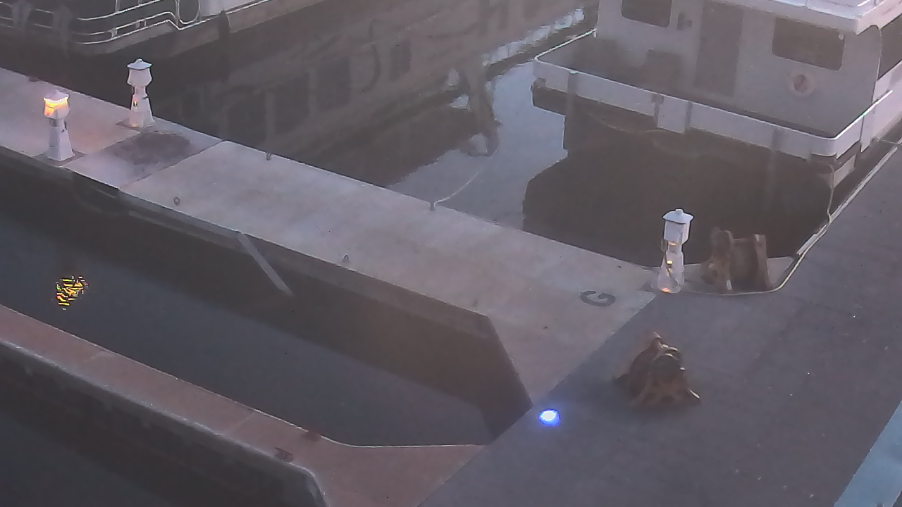 Thumbnail for current weather camera view from Lake Powell Resorts and Marinas - Wahweap Marina in Page, Arizona