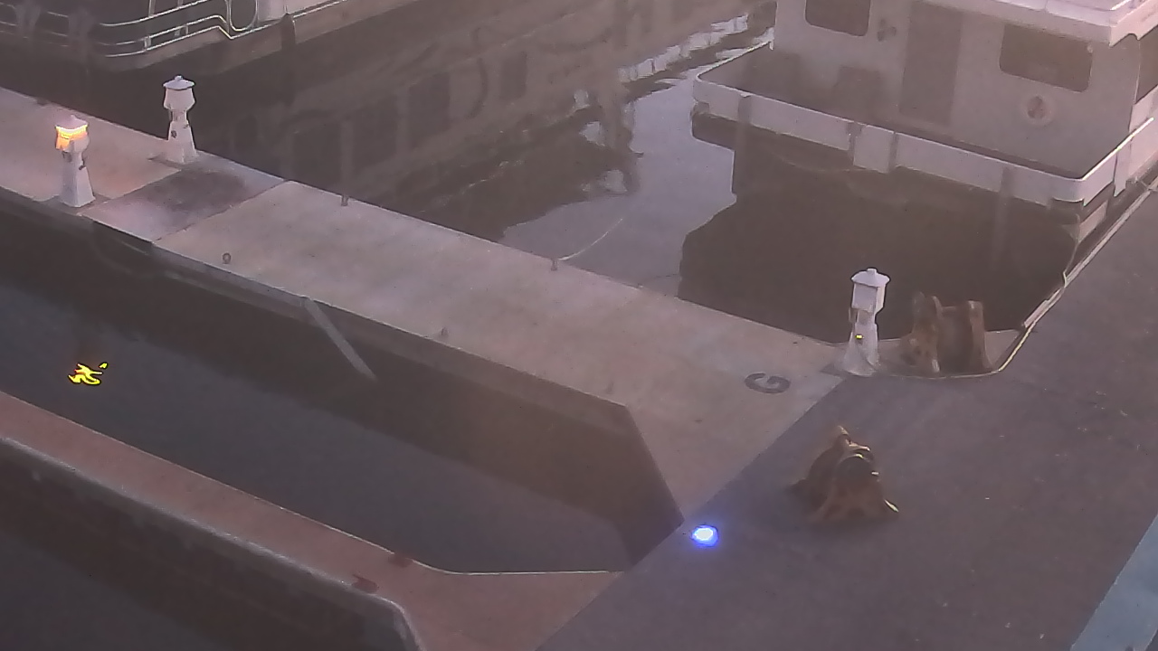 Thumbnail for current weather camera view from Lake Powell Resorts and Marinas - Wahweap Marina in Page, Arizona