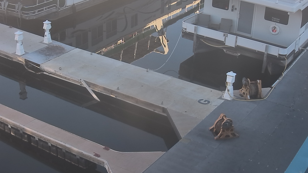 Thumbnail for current weather camera view from Lake Powell Resorts and Marinas - Wahweap Marina in Page, Arizona