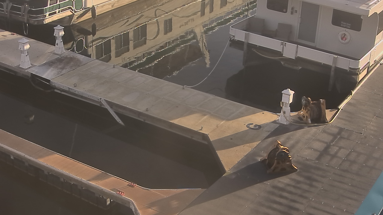 Thumbnail for current weather camera view from Lake Powell Resorts and Marinas - Wahweap Marina in Page, Arizona