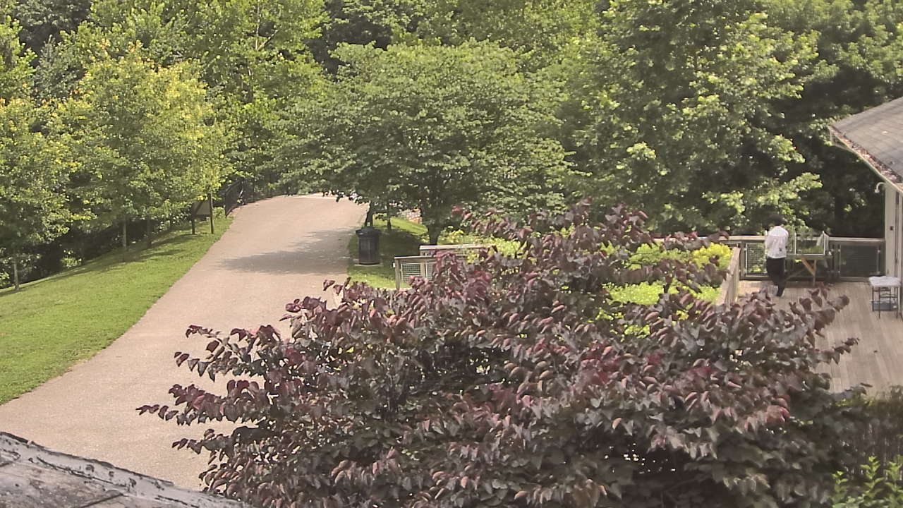 Thumbnail for current weather camera view from Lake Roland Nature Council in Baltimore, Maryland