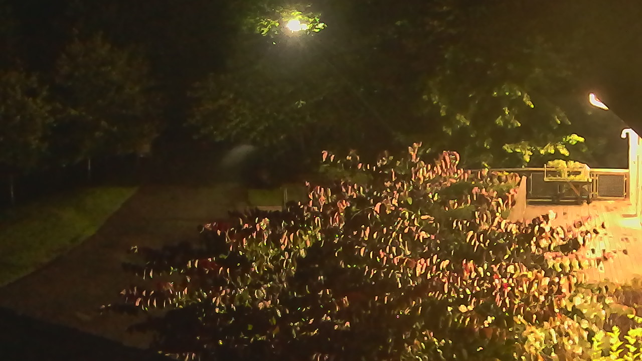 Thumbnail for current weather camera view from Lake Roland Nature Council in Baltimore, Maryland