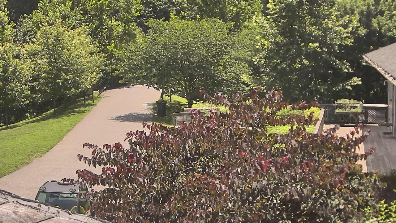 Thumbnail for current weather camera view from Lake Roland Nature Council in Baltimore, Maryland