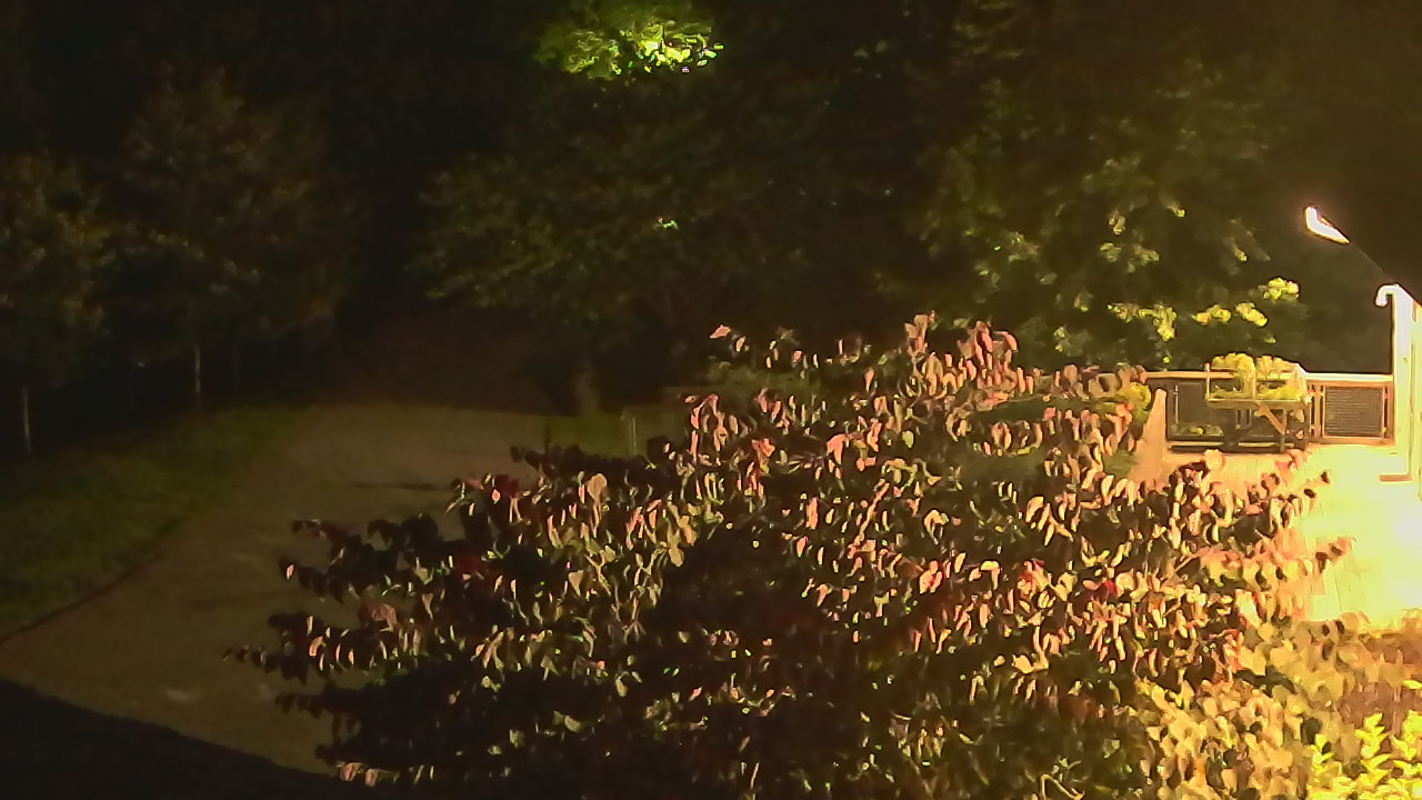 Thumbnail for current weather camera view from Lake Roland Nature Council in Baltimore, Maryland