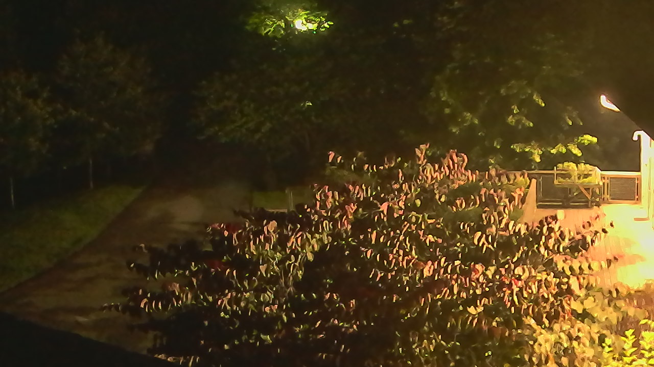 Thumbnail for current weather camera view from Lake Roland Nature Council in Baltimore, Maryland