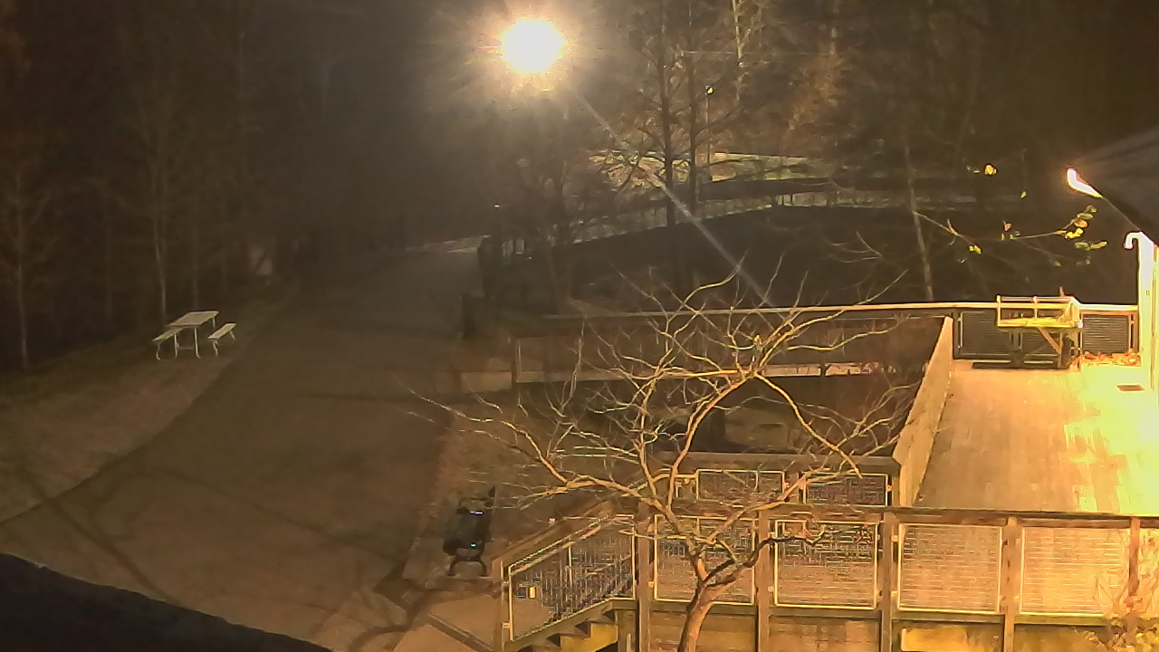 Thumbnail for current weather camera view from Lake Roland Nature Council in Baltimore, Maryland