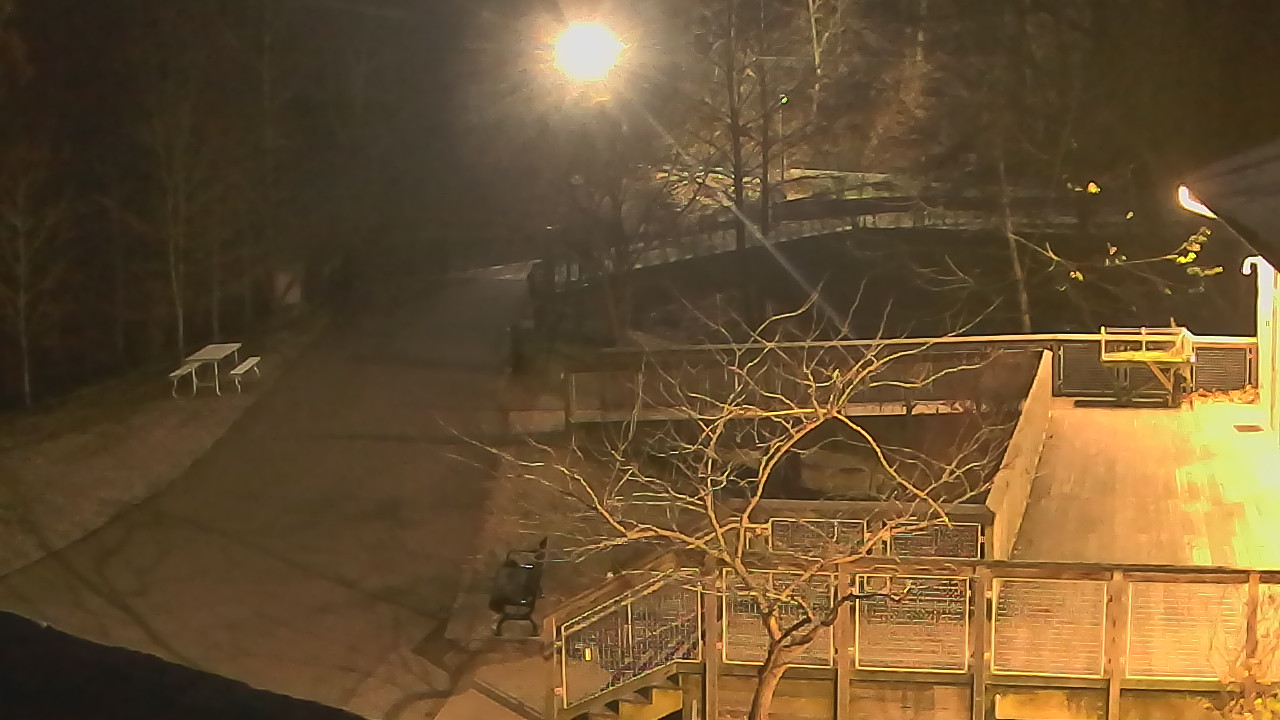 Thumbnail for current weather camera view from Lake Roland Nature Council in Baltimore, Maryland