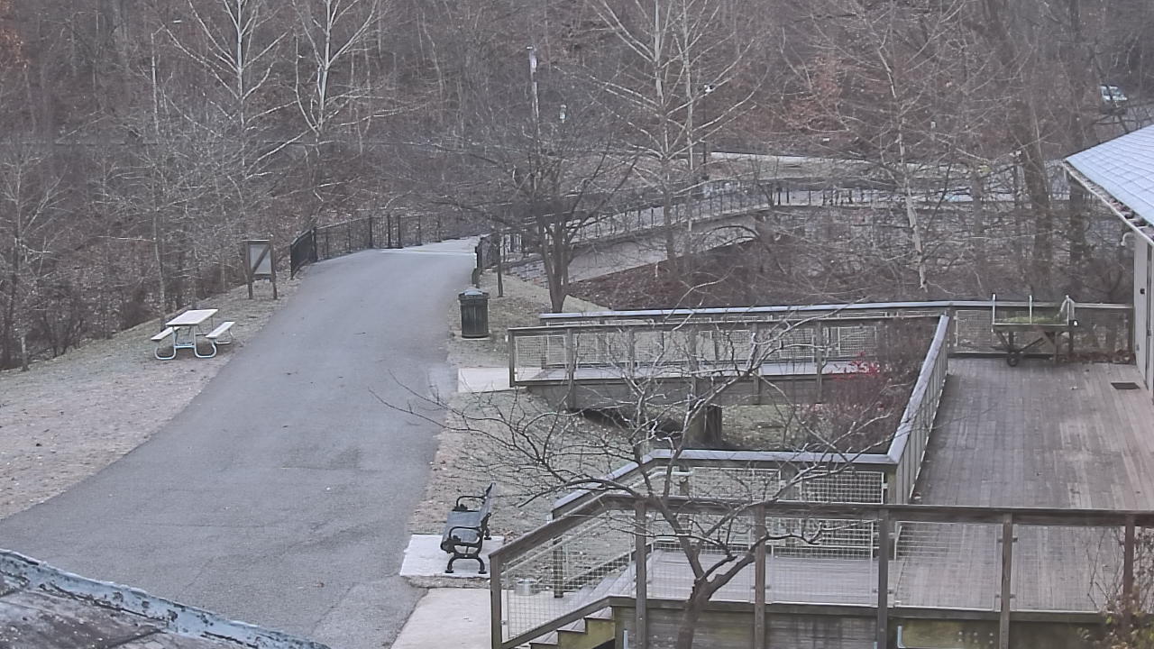 Thumbnail for current weather camera view from Lake Roland Nature Council in Baltimore, Maryland