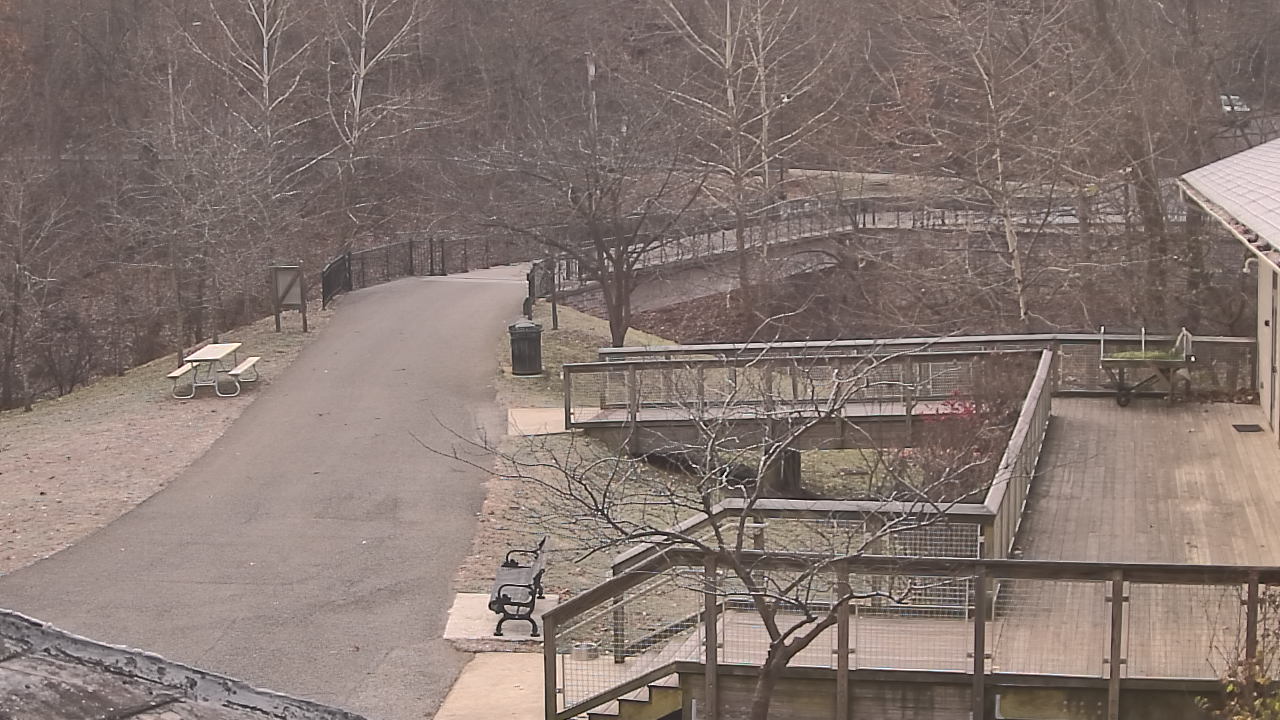 Thumbnail for current weather camera view from Lake Roland Nature Council in Baltimore, Maryland