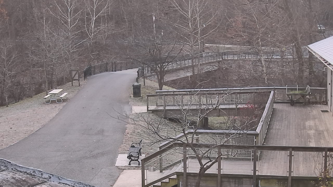 Thumbnail for current weather camera view from Lake Roland Nature Council in Baltimore, Maryland