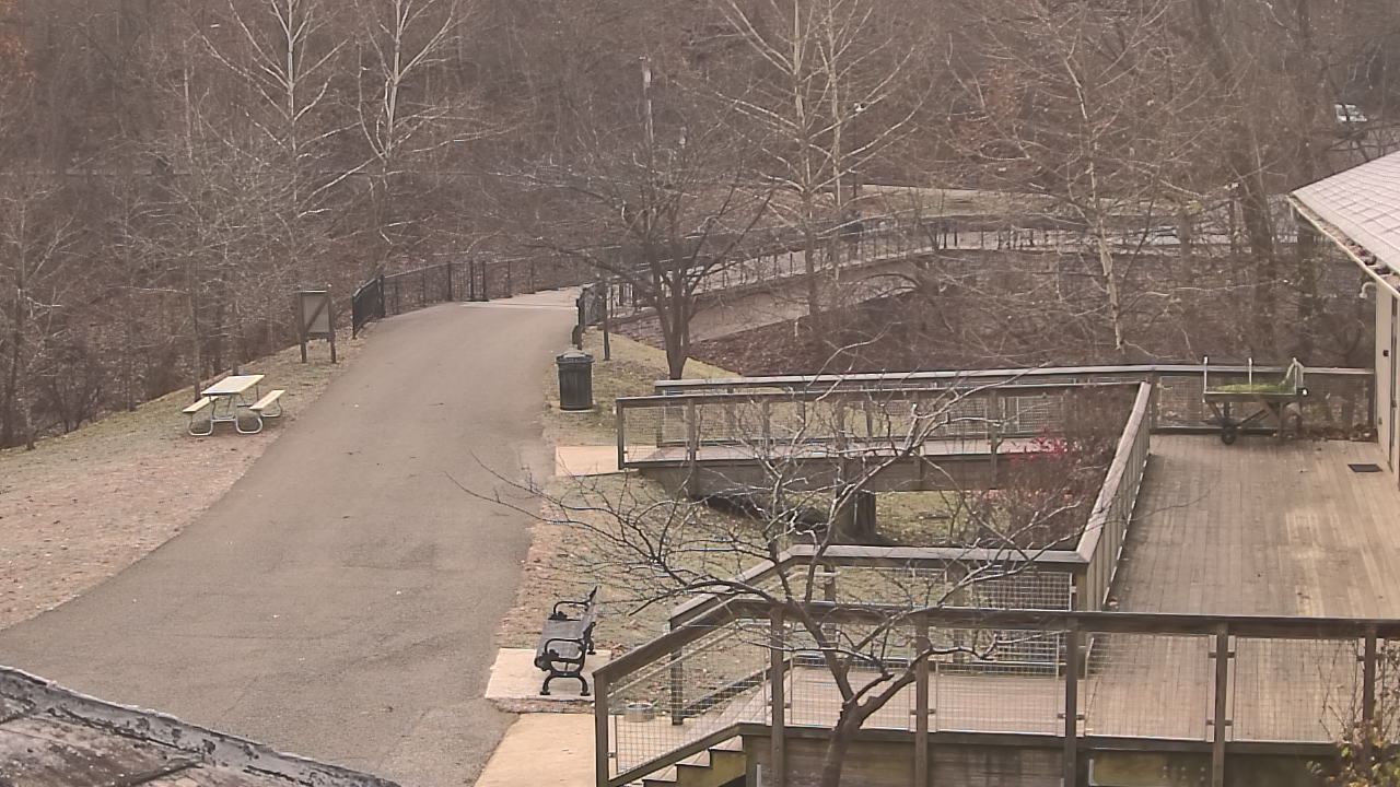 Thumbnail for current weather camera view from Lake Roland Nature Council in Baltimore, Maryland