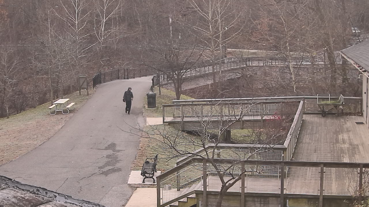 Thumbnail for current weather camera view from Lake Roland Nature Council in Baltimore, Maryland