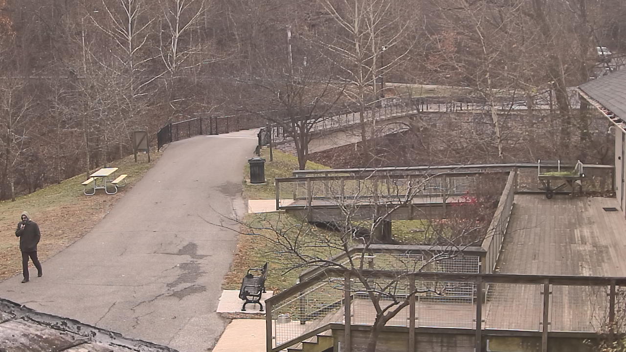 Thumbnail for current weather camera view from Lake Roland Nature Council in Baltimore, Maryland