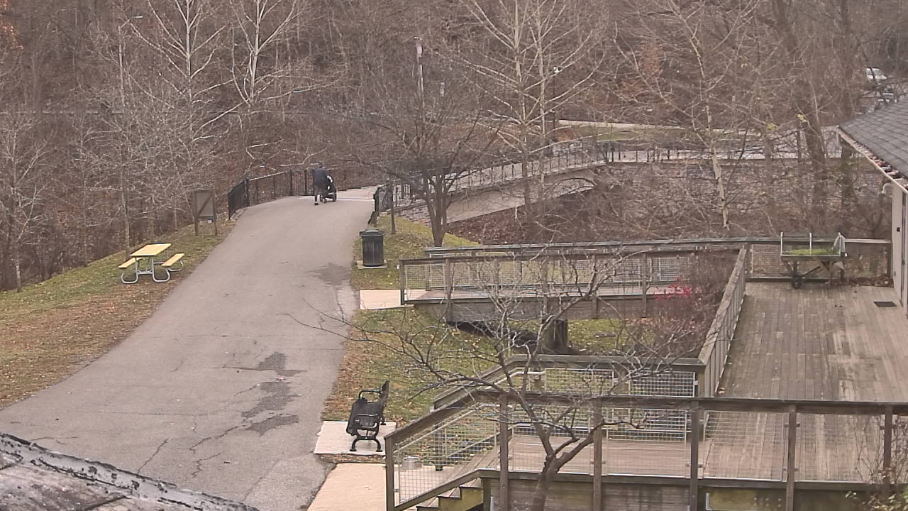 Thumbnail for current weather camera view from Lake Roland Nature Council in Baltimore, Maryland