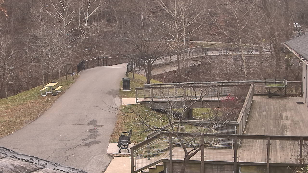 Thumbnail for current weather camera view from Lake Roland Nature Council in Baltimore, Maryland