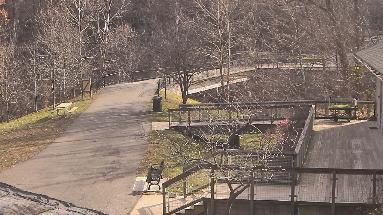 Thumbnail for current weather camera view from Lake Roland Nature Council in Baltimore, Maryland