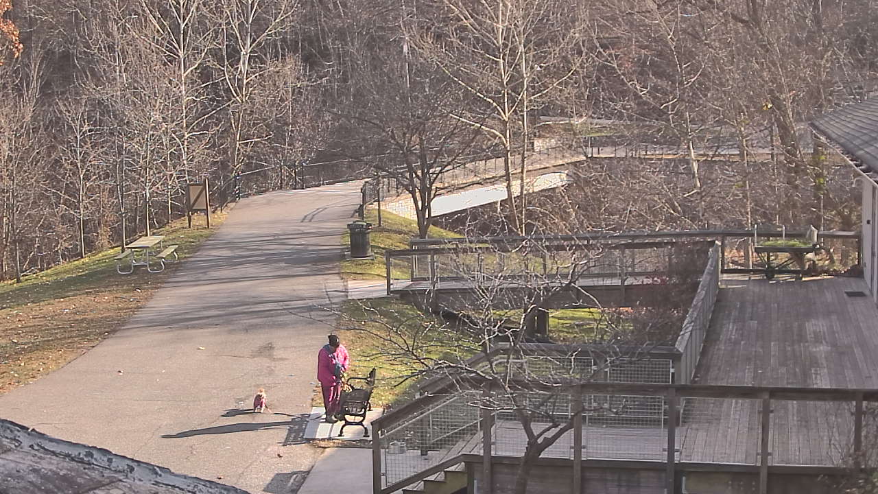 Thumbnail for current weather camera view from Lake Roland Nature Council in Baltimore, Maryland