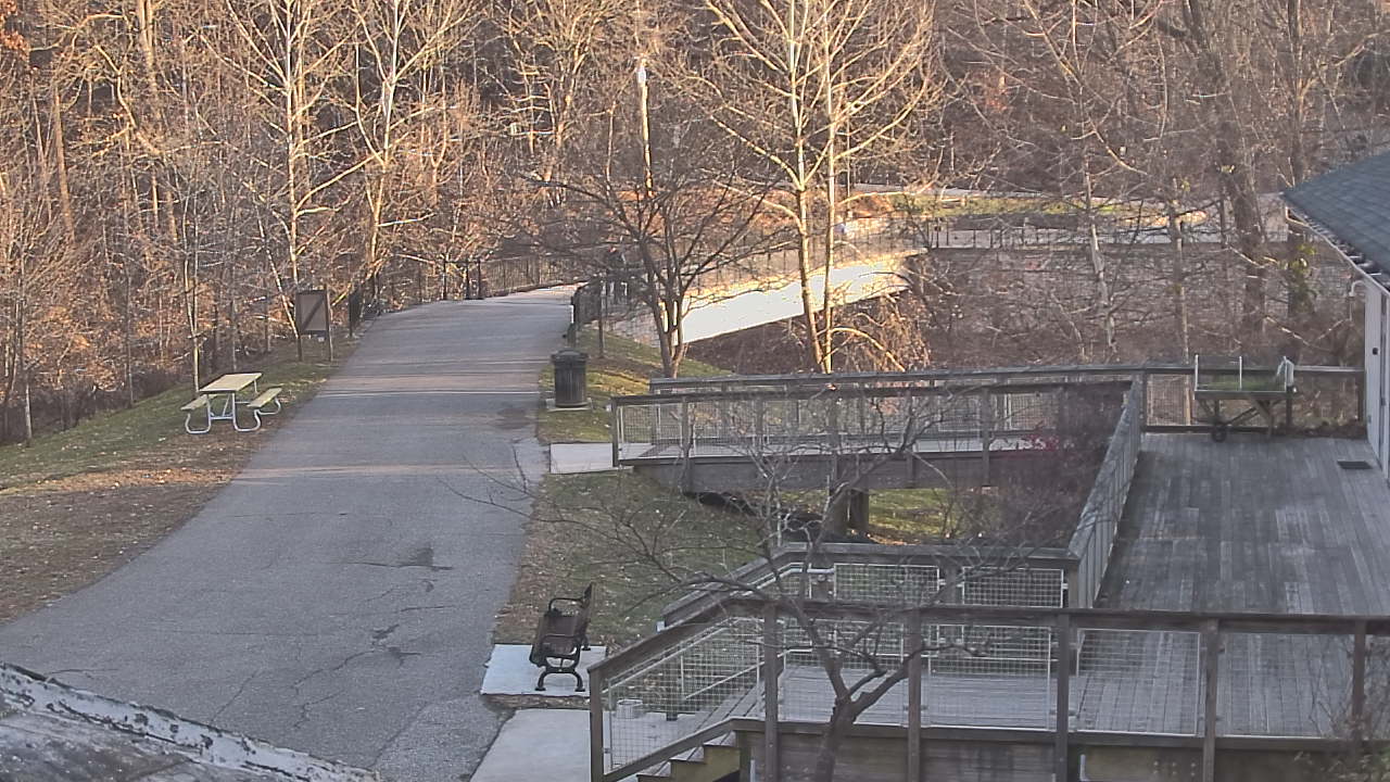 Thumbnail for current weather camera view from Lake Roland Nature Council in Baltimore, Maryland