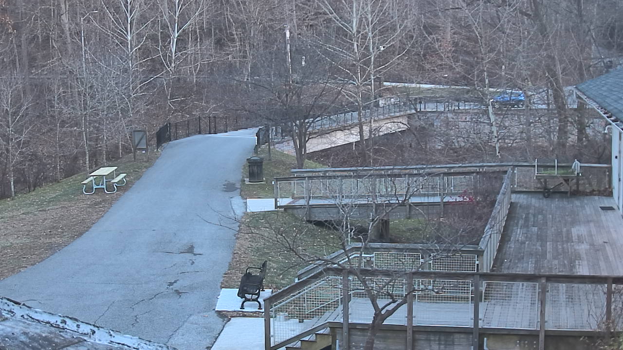 Thumbnail for current weather camera view from Lake Roland Nature Council in Baltimore, Maryland