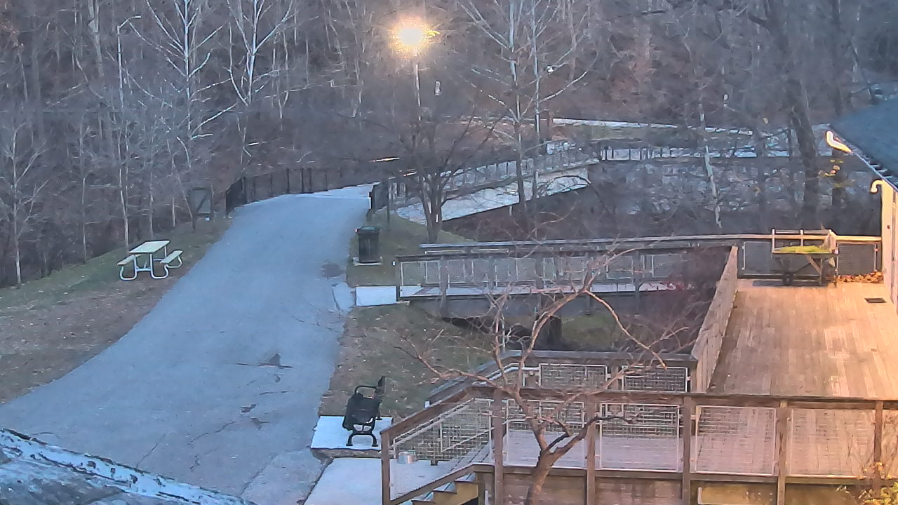 Thumbnail for current weather camera view from Lake Roland Nature Council in Baltimore, Maryland