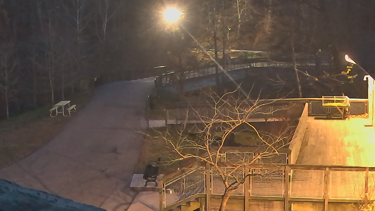 Thumbnail for current weather camera view from Lake Roland Nature Council in Baltimore, Maryland