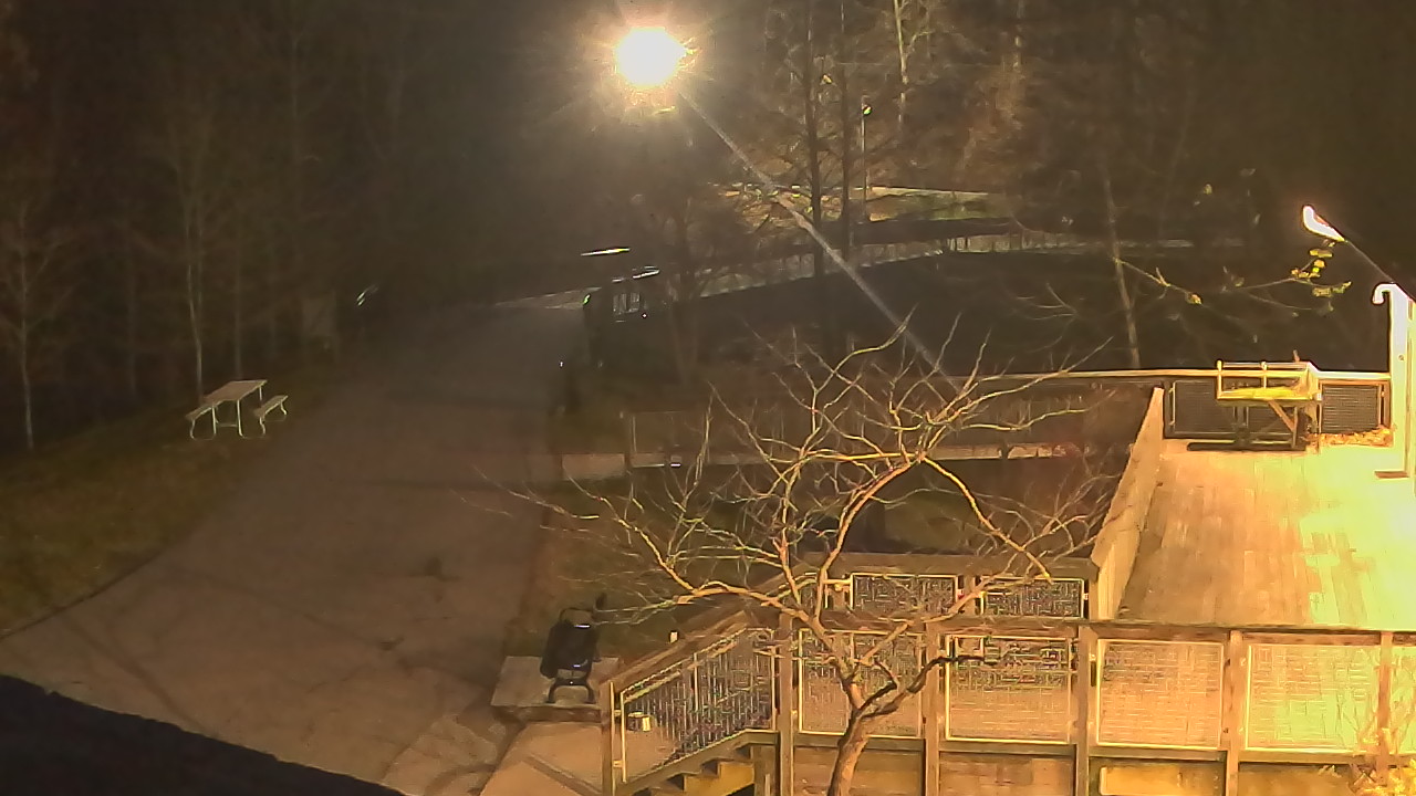 Thumbnail for current weather camera view from Lake Roland Nature Council in Baltimore, Maryland