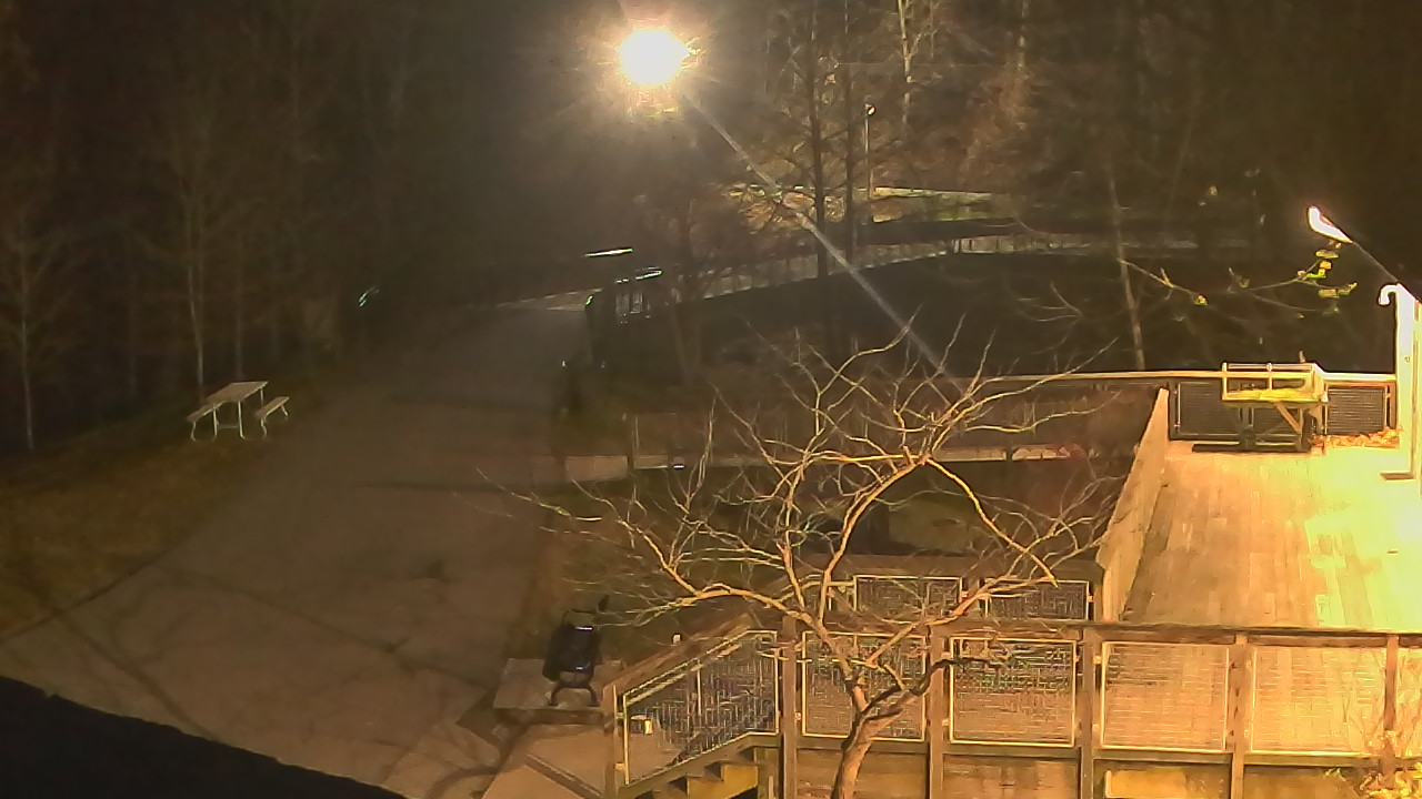 Thumbnail for current weather camera view from Lake Roland Nature Council in Baltimore, Maryland