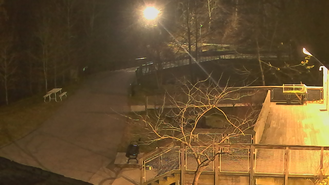 Thumbnail for current weather camera view from Lake Roland Nature Council in Baltimore, Maryland