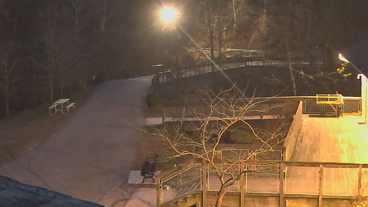 Thumbnail for current weather camera view from Lake Roland Nature Council in Baltimore, Maryland