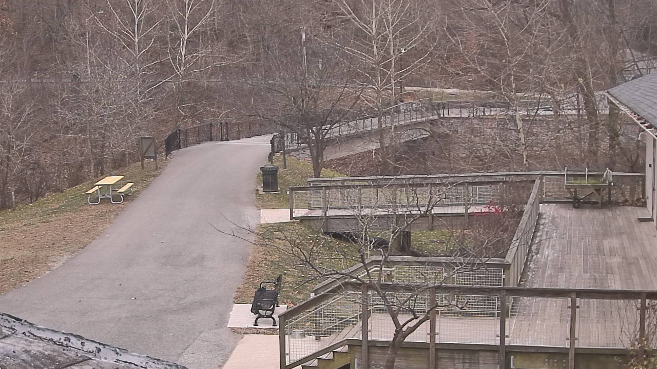 Thumbnail for current weather camera view from Lake Roland Nature Council in Baltimore, Maryland