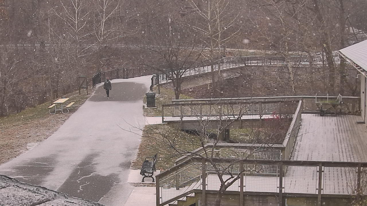 Thumbnail for current weather camera view from Lake Roland Nature Council in Baltimore, Maryland