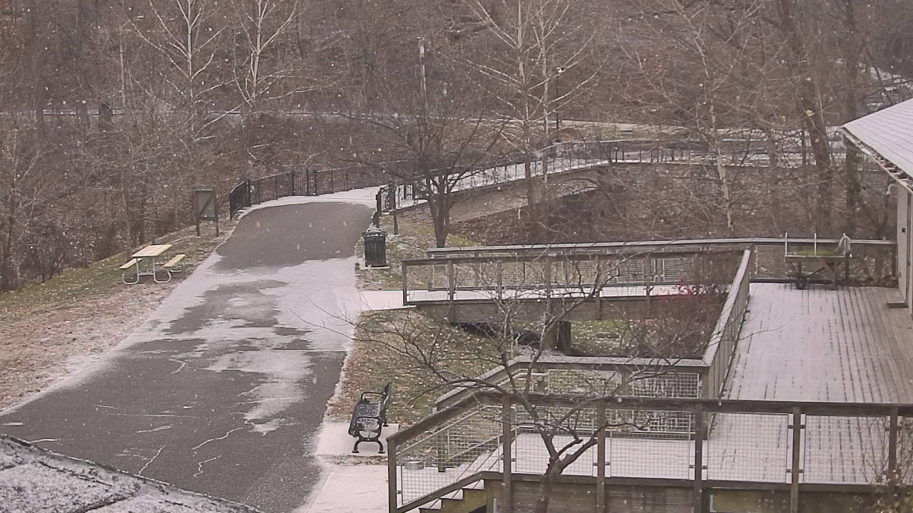 Thumbnail for current weather camera view from Lake Roland Nature Council in Baltimore, Maryland