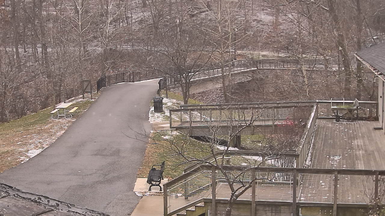 Thumbnail for current weather camera view from Lake Roland Nature Council in Baltimore, Maryland